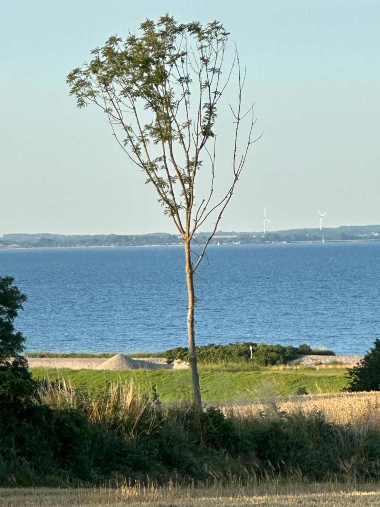 Foerdefarm Natura Westerholz Zewnętrze zdjęcie